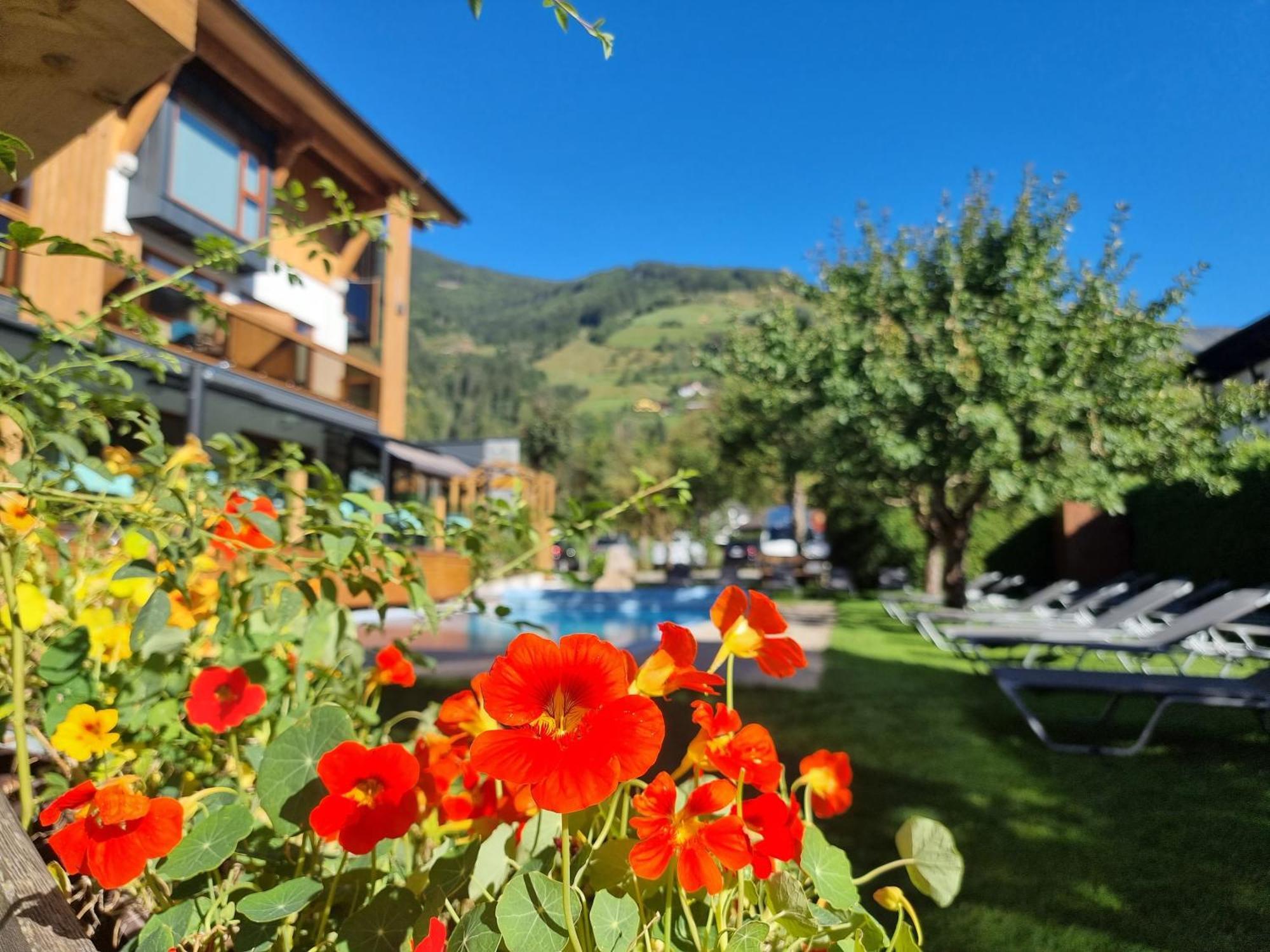 Hotel Alpina ラウリス エクステリア 写真